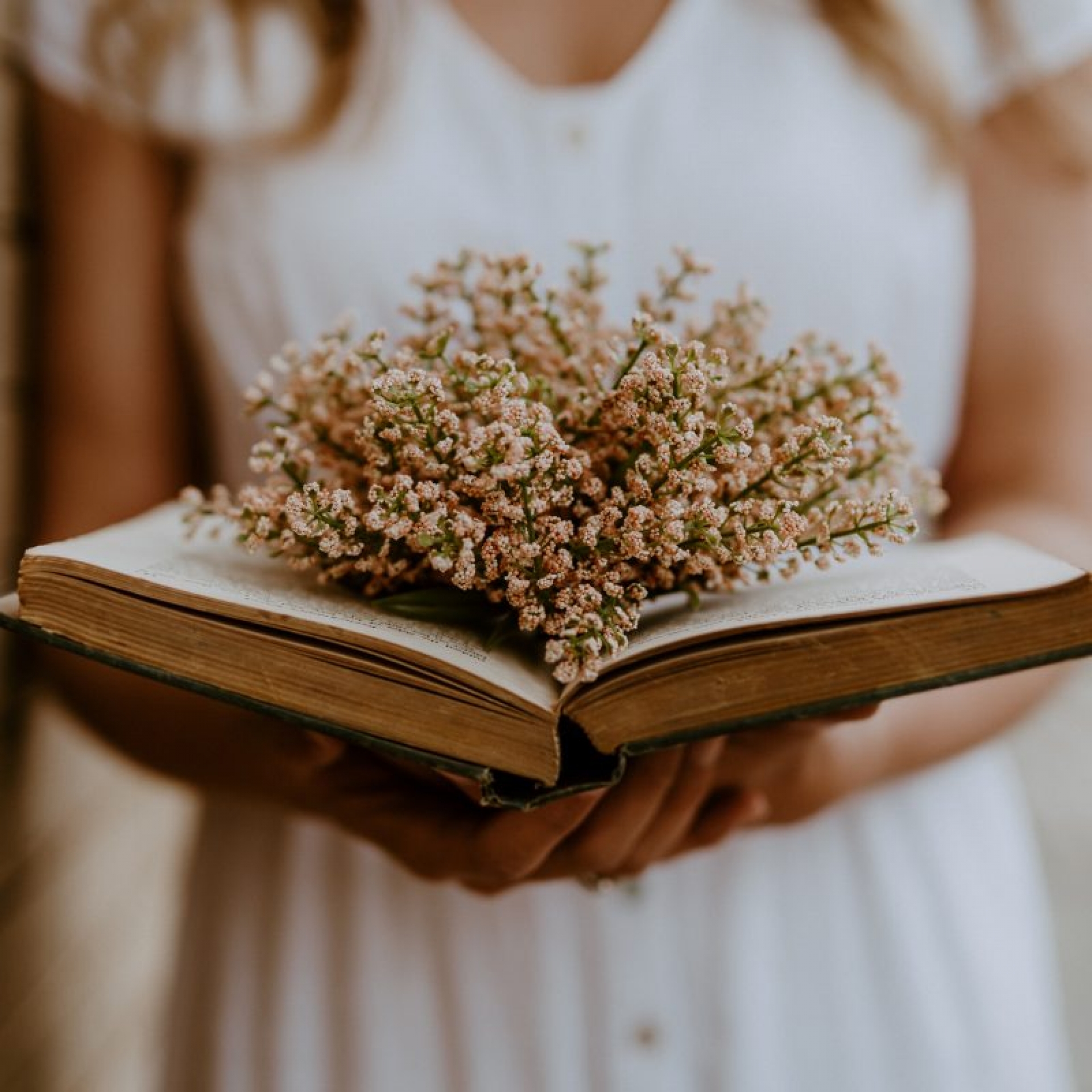 184b7cb84d7b456c96a0bdfbbeaa5f14_XL image A Water Lily Among the Wildflowers - The Book